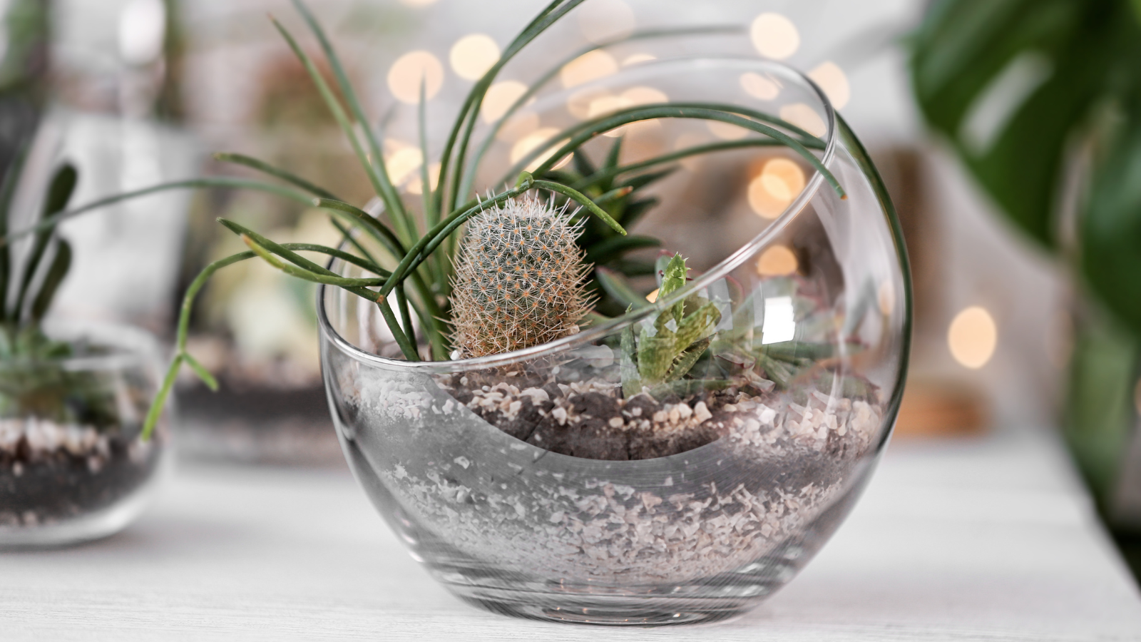 DIY Terrarium